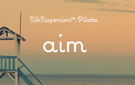 シルクサスペンション™️とストレッチーズ®️ aim