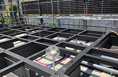 土台据付施工後床下地施工前