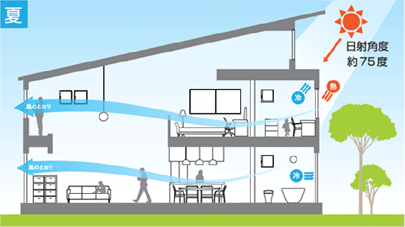 日射角度約75度