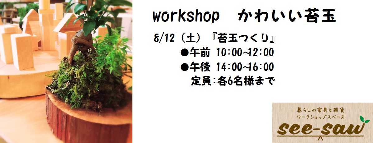 see-saw workshop かわいい苔玉
