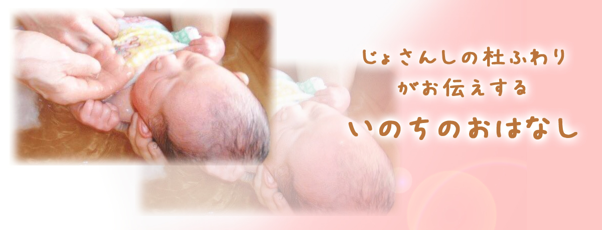 《じょさんしの杜 ふわりがお伝えするいのちのおはなし》<br>~助産師と過ごし語らう ふわりなじかん~