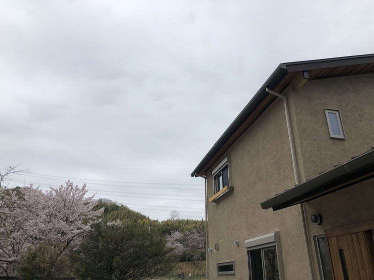 桜咲く見学会