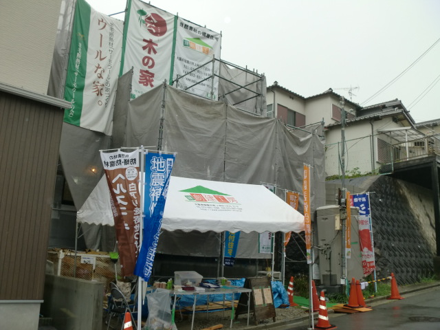 CIMG6246.JPG