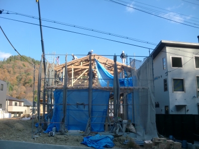 CIMG0550.JPG